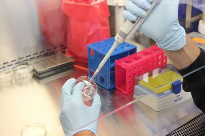 UAE researchers gain IP protection for COVID-19 new stem-cell treatment  