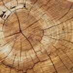 Belgia sambut baik ekspor produk kayu legal-berkelanjutan dari Indonesia