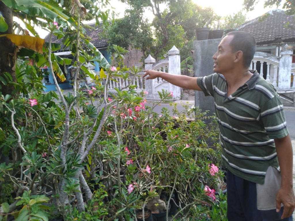 Bisnis bunga hias tetap ‘elok’ di tengah pandemik