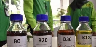 Serapan biodiesel nasional 4,36 juta kilo liter pada semester I