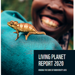 WWF harapkan ‘Living Planet Report 2020’ jadi bahan sidang PBB