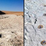 Saudi researchers discover 120,000-year-old human footprints