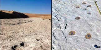 Ilmuan Saudi temukan jejak kaki manusia berusia 120.000 tahun