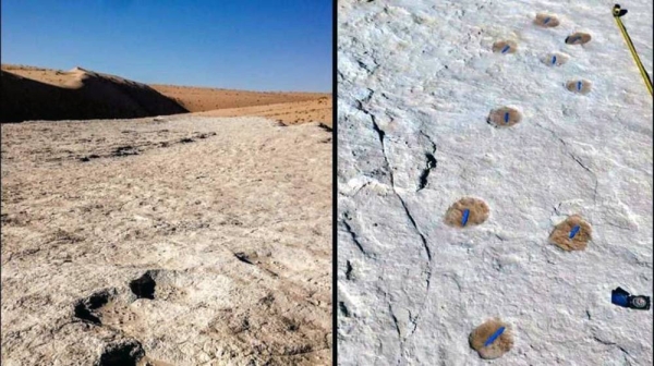 Saudi researchers discover 120,000-year-old human footprints