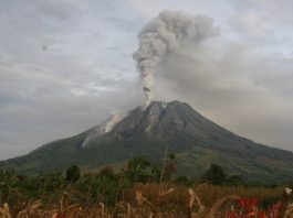 Indonesian volcanoes monitoring recognized worldwide