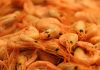 Indonesia develops int’l standard shrimp disease testing laboratory