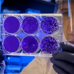 Ilmuwan Rusia temukan bakteri pencerna bioplastik di zona permafrost