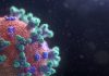 COVID-19 – Ilmuwan Rusia tingkatkan efektivitas pengobatan dengan virus Sendai
