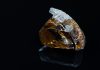 Penemuan berlian bersama emas di Far North Kanada berikan petunjuk sejarah awal Bumi