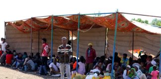 Pengungsi konflik Ethiopia ke Sudan bertambah lebih dari 20.000