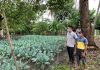 Misi pertanian Taiwan jadikan Karawang lahan hortikultura produktif