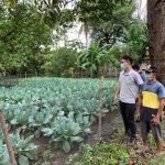 Taiwan agricultural mission makes Indonesia’s Karawang productive land