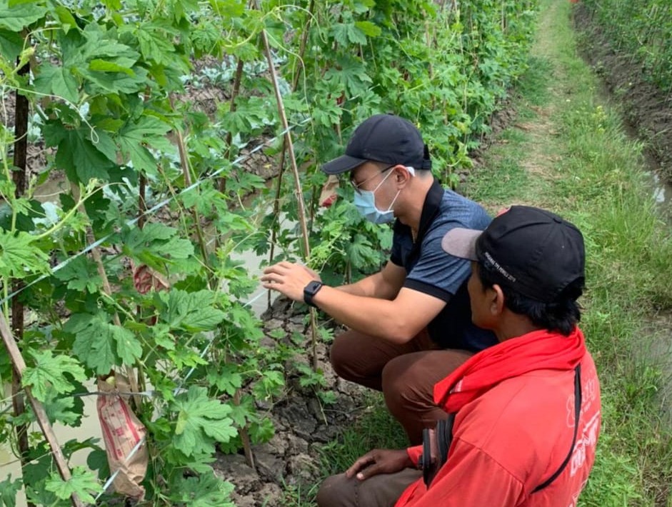 Misi pertanian Taiwan jadikan Karawang lahan hortikultura produktif