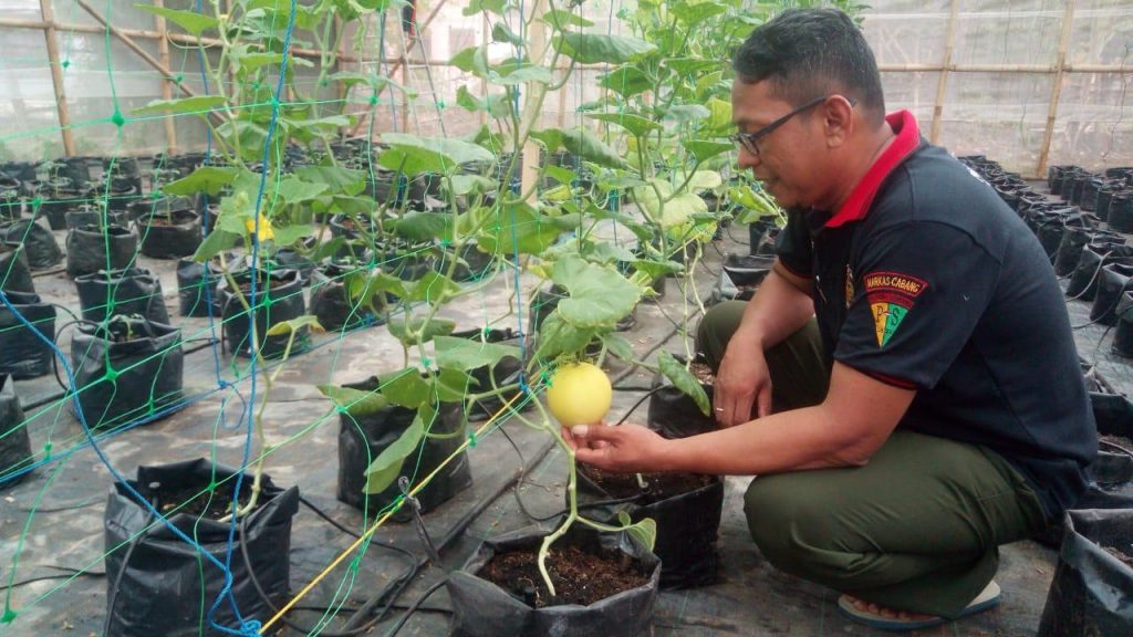 Taiwan agricultural mission makes Indonesia’s Karawang productive land