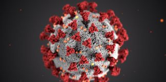 COVID-19 – Ahli: Tidak lebih 1 persen genom bermutasi sejak awal pandemik