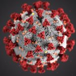 COVID-19 – Karakteristik genetik virus corona tunjukkan asal aslinya
