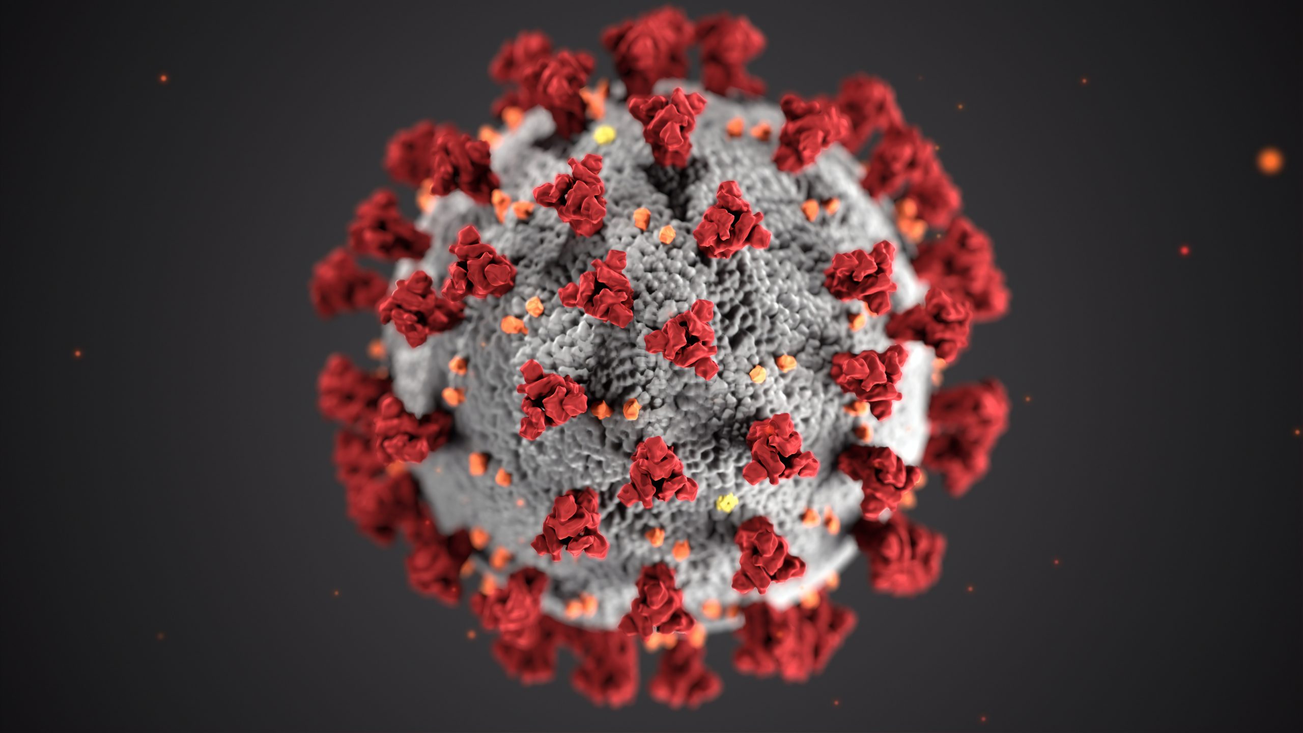COVID-19 – Karakteristik genetik virus corona tunjukkan asal aslinya