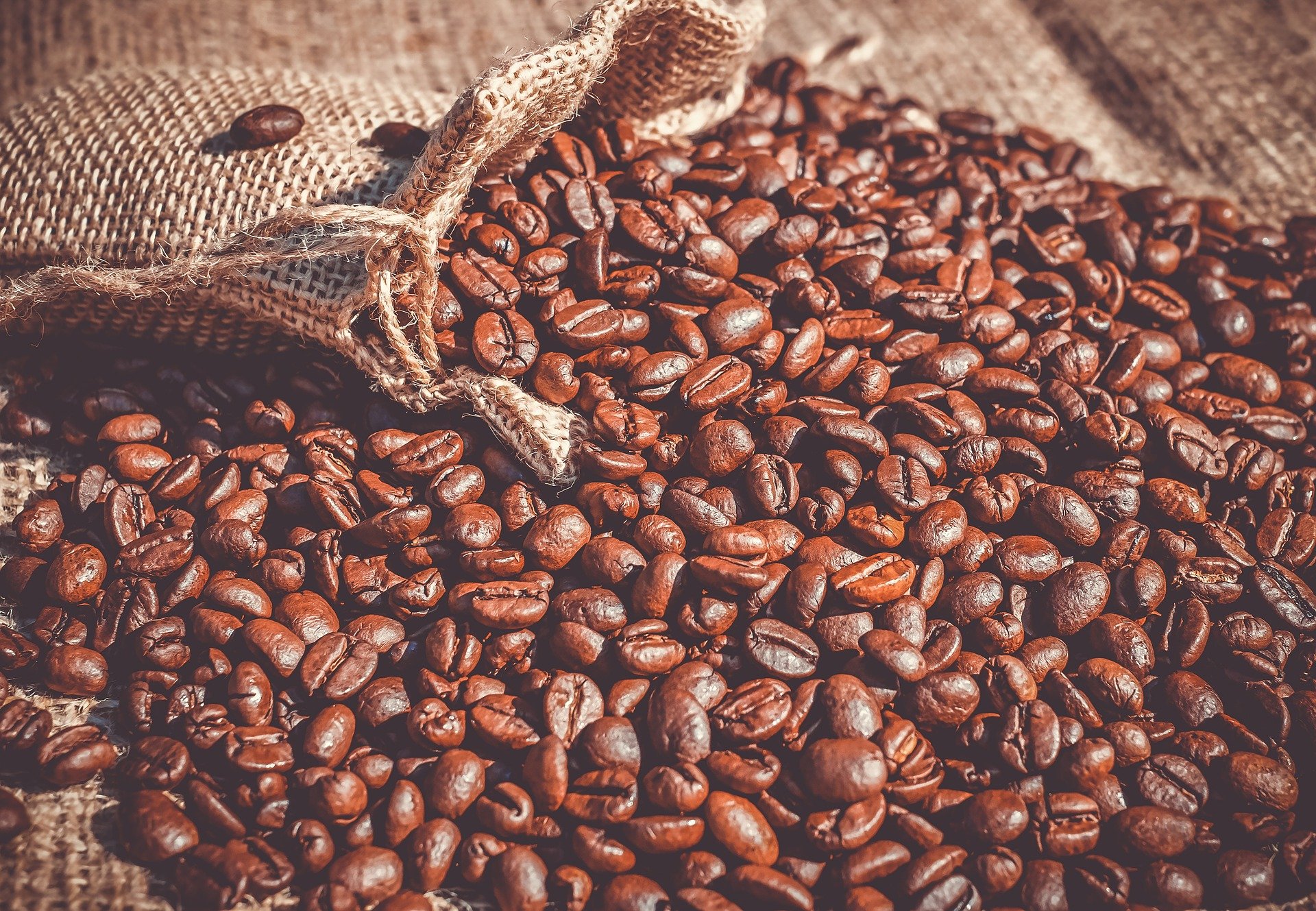 Vietnam ekspor lebih dari 1,7 juta ton kopi pada 2020