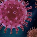 COVID-19 – WHO: tak ada tanda penyebaran virus di Wuhan sebelum Desember 2019