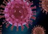COVID-19 – New virus of B117 variant found in Indonesia