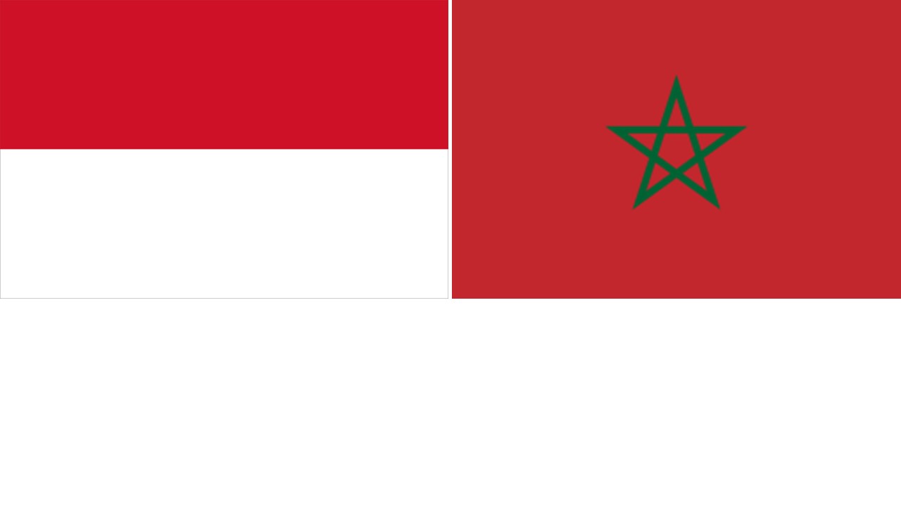 Indonesia-Maroko gelar komite bersama bidang energi