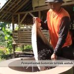 Indonesia targetkan 20.000 desa terlibat dalam Program Kampung Iklim