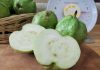 Taiwan’s milk-based fertilizer makes guava crystal more delicious, nutritious