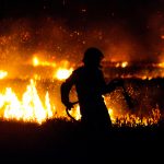 Suriah mengeksekusi 24 orang pemicu kebakaran hutan yang mematikan