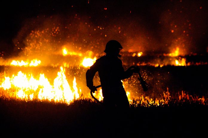 Suriah mengeksekusi 24 orang pemicu kebakaran hutan yang mematikan