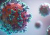 COVID-19 – Ilmuwan ingatkan mutasi virus yang sangat tinggi