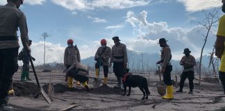 45 people die in Indonesia’s Mt. Semeru eruption