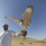 2.110 ‘falcon’ ikut festival Raja Abdulaziz Saudi