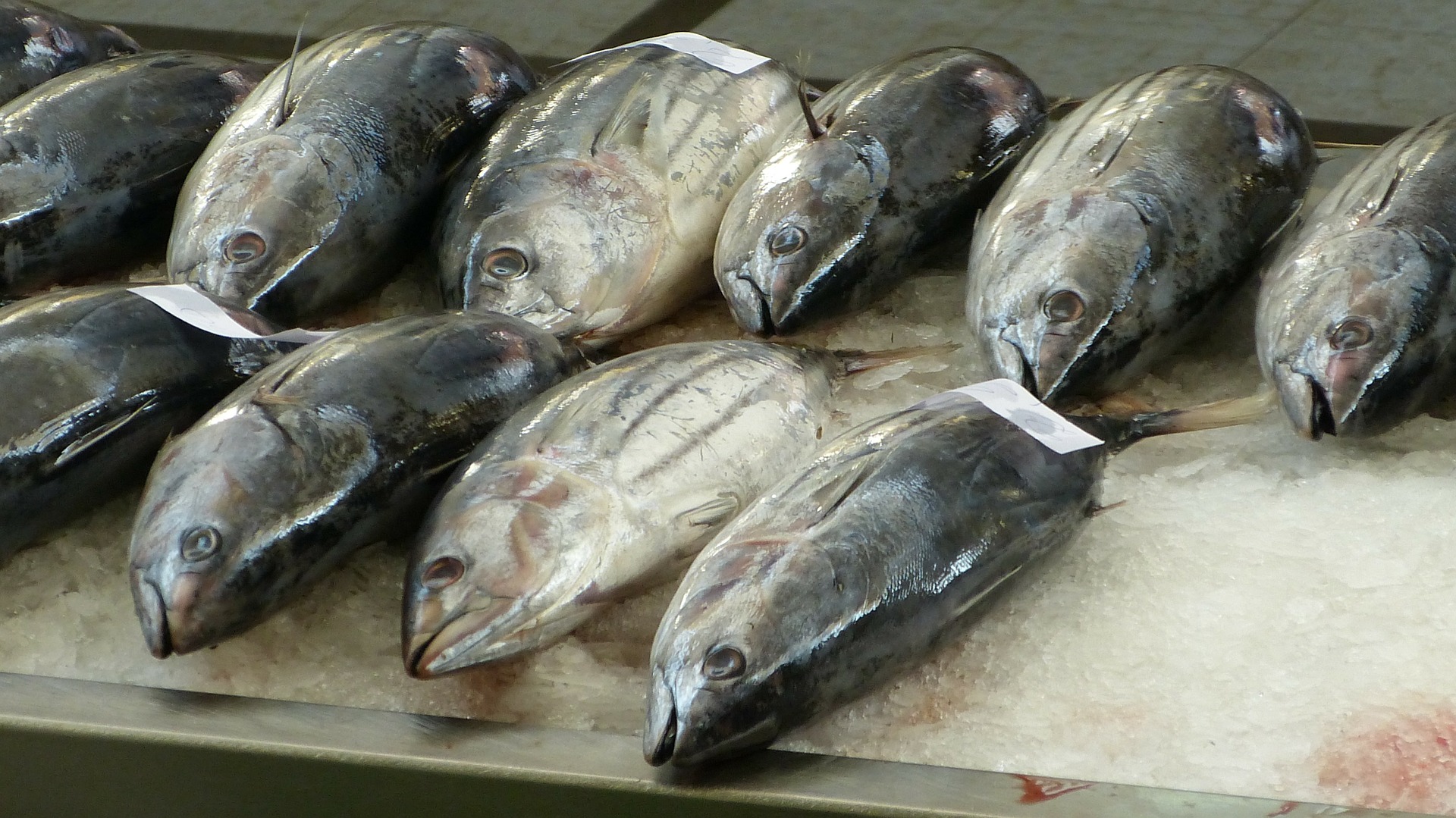 98 percent of Indonesian fishery products received by 171 countries