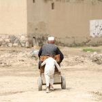 Bank Dunia salurkan 280 juta dolar AS untuk Afghanistan