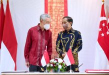 Indonesia, Singapore strengthen cooperation on economic recovery