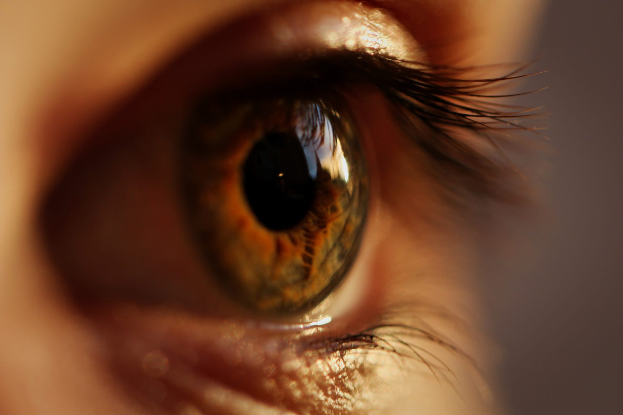 Penelitian: Mata jadi jendela menuju proses penuaan