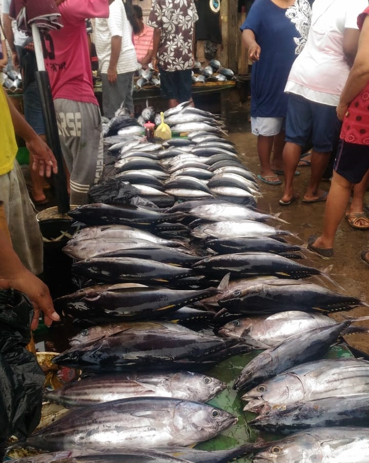 Potensi ikan tangkap Indonesia capai 12,01 juta ton