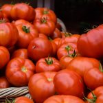 Penelitian: Tomat hasil rekayasa genetik mungkin sumber vitamin D baru