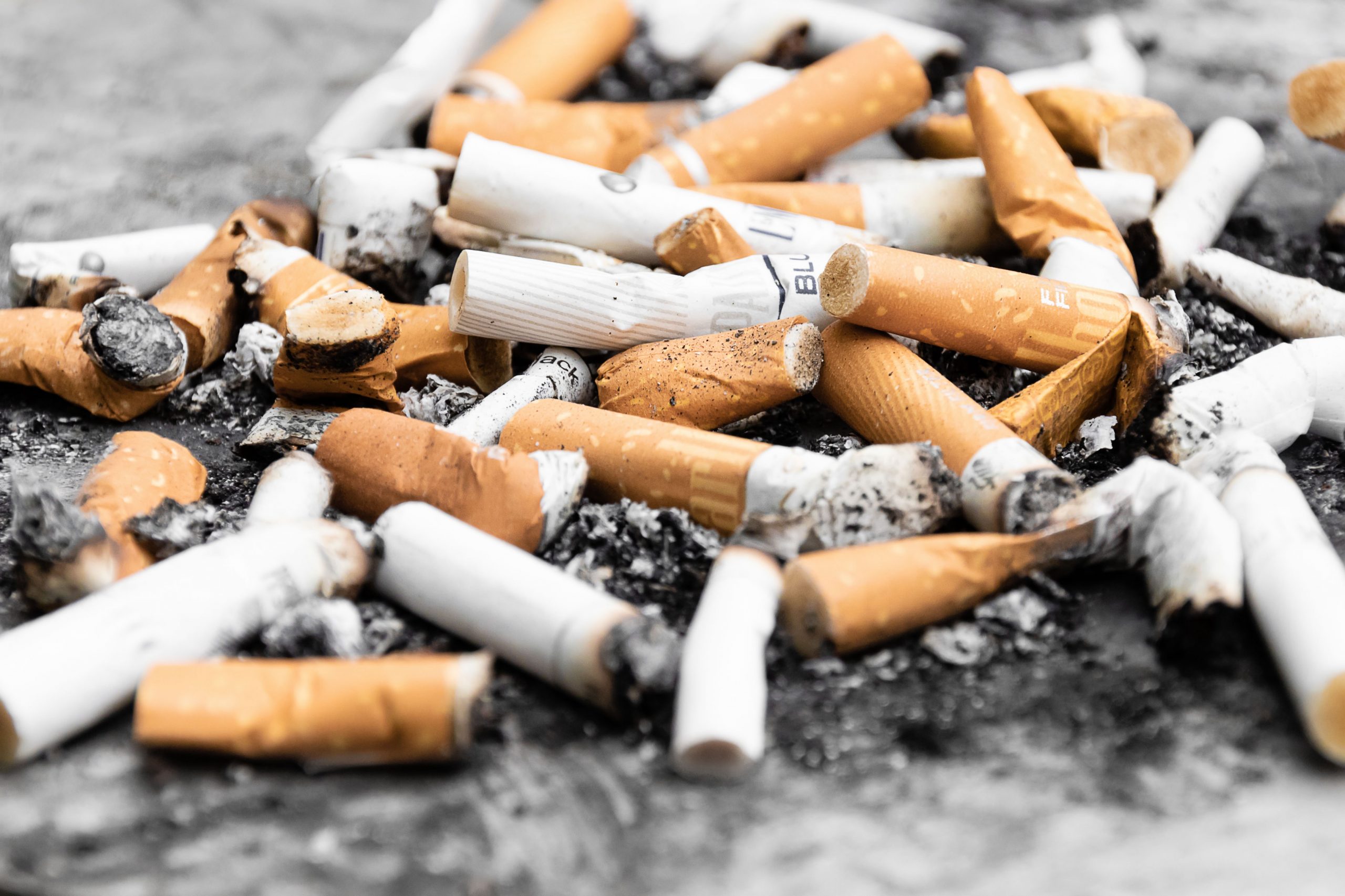 WHO: Industri tembakau bertanggung jawab atas terjadinya pemanasan global