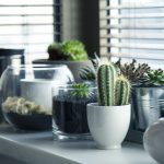 7 manfaat tanaman dalam ruangan untuk kesehatan berdasarkan penelitian