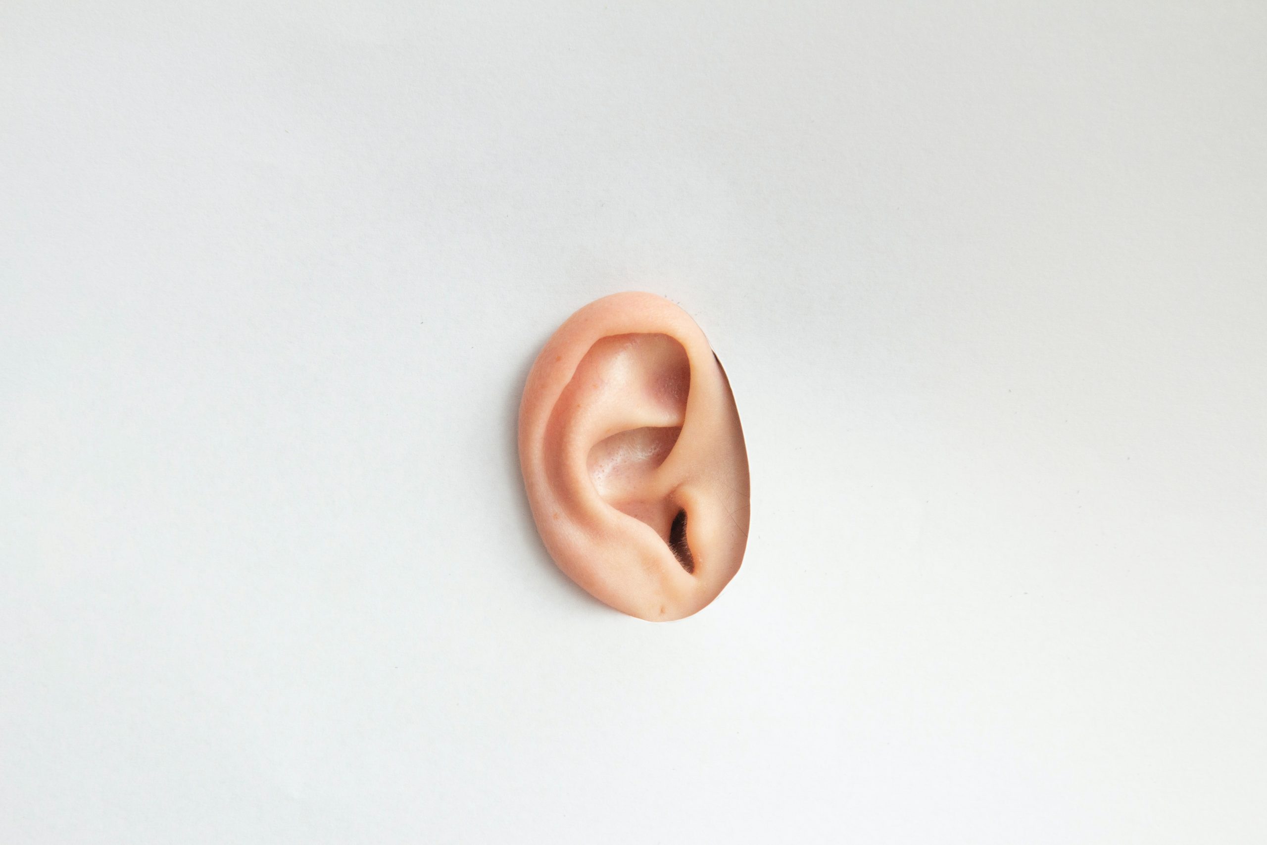 Peneliti berhasil transplantasi telinga manusia dengan cetakan 3D