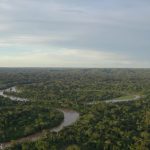 Presiden Brasil ejek Leonardo DiCaprio soal cuitan deforestasi Amazon karena kapal pesiar