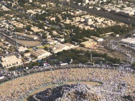 Saudi Arabia plants more trees in Holy Land to make hajj pilgrimage greener
