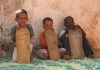 ilmu islam mauritania