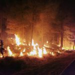 kebakaran hutan di spanyol