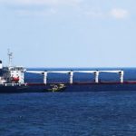 Rombongan kapal kedua angkut biji-bijian dari Ukraina tiba di Istanbul