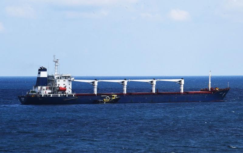 Rombongan kapal kedua angkut biji-bijian dari Ukraina tiba di Istanbul