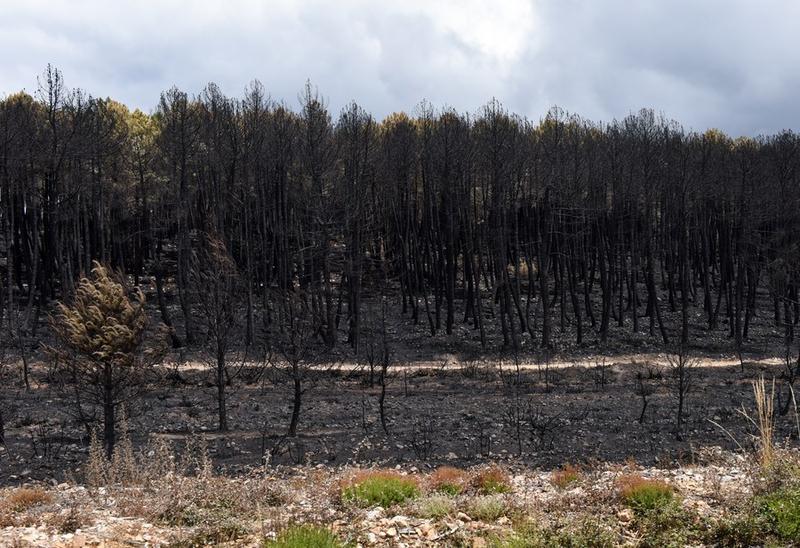kebakaran hutan di spanyol
