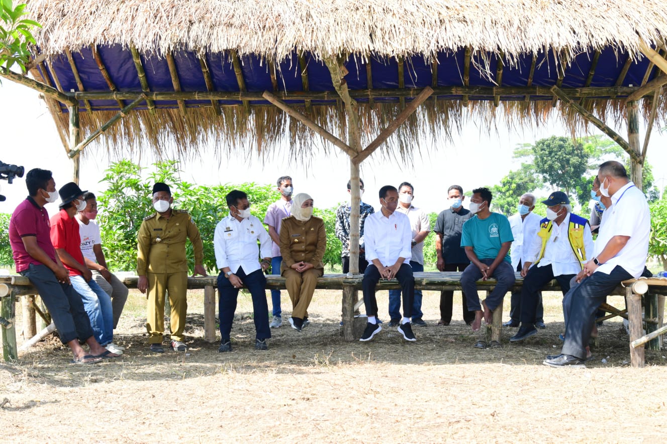Presiden Jokowi luncurkan lumbung pangan berbasis mangga di Gresik