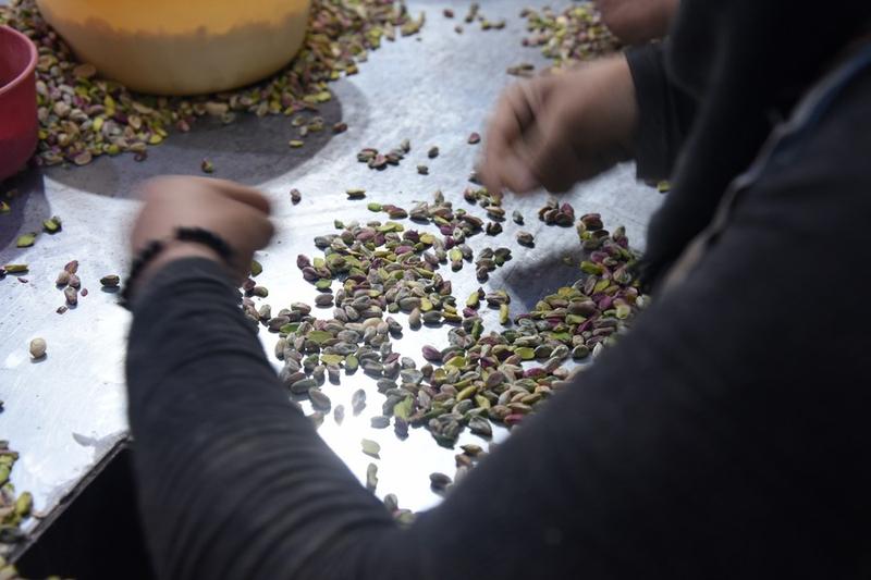 Produksi pistachio Suriah